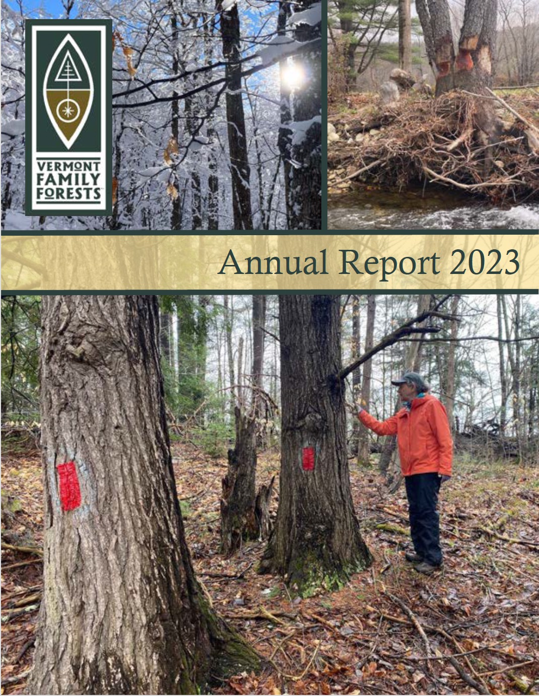 Cover of VFF 2023 Annual Report